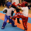 В спортивном центре «Триумф» прошли IV юношеские игры боевых искусств Брянской области