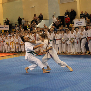 В «Триумфе» прошли VII юношеские игры боевых искусств Брянской области