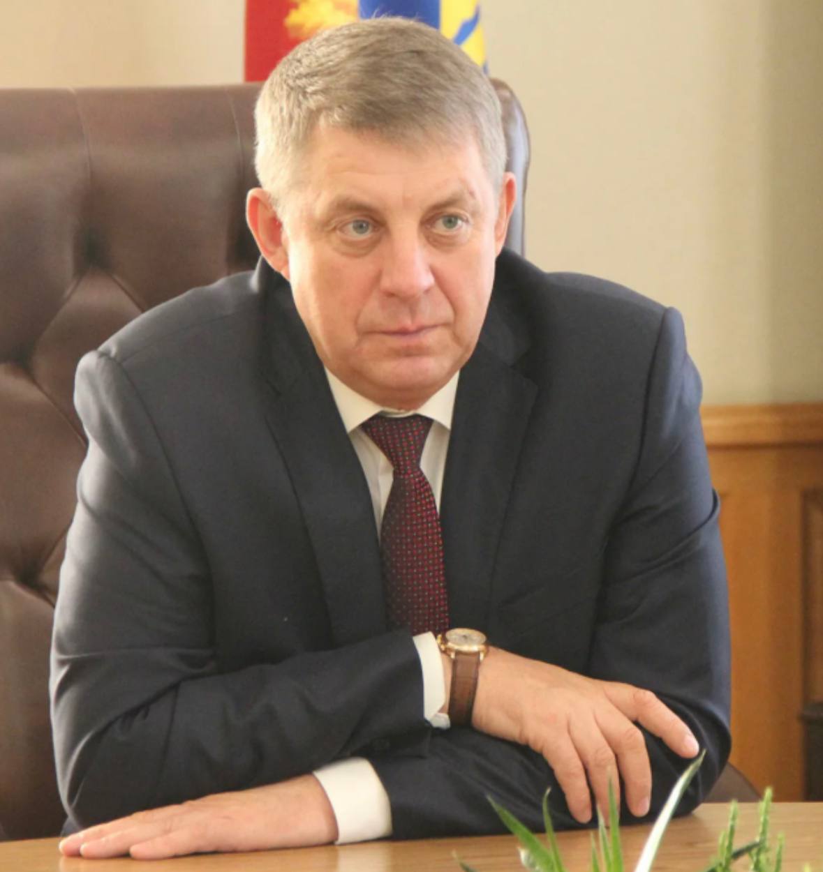 Александр Богомаз встретился с президентом Всероссийской федерации самбо Сергеем Елисеевым