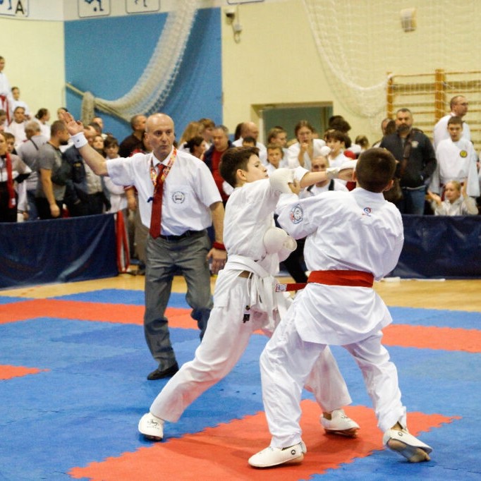Всероссийские соревнования по всестилевому каратэ