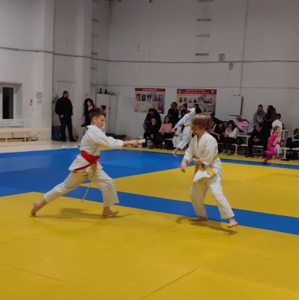 В Брянске прошло Первенство города по айкидо