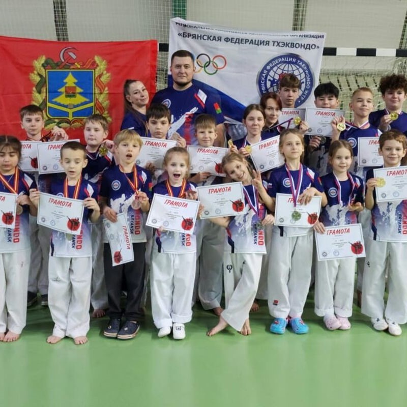 Десять золотых медалей завоевали брянские тхэквондисты на соревнованиях в Железногорске