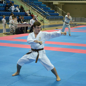 Турнир по ката