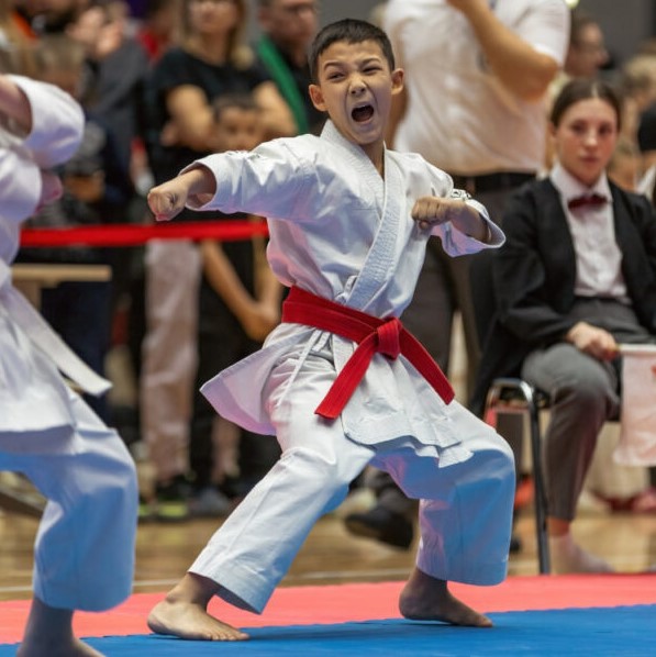 Всероссийские соревнования по всестилевому каратэ «Курская Дуга»