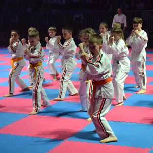 В Брянске прошел фестиваль боевых искусств – «Крымская весна -2026»