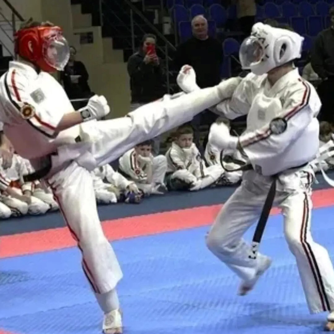 Брянцы триумфально выступили на чемпионате мира по Косики каратэ