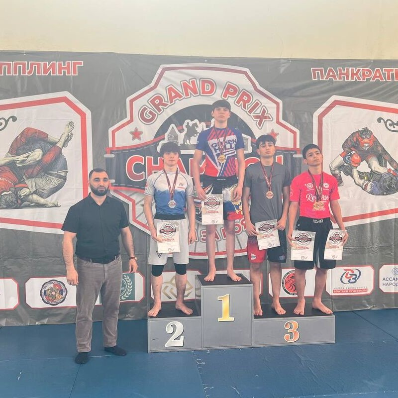 Брянцы завоевали медали соревнований по ММА в Орле