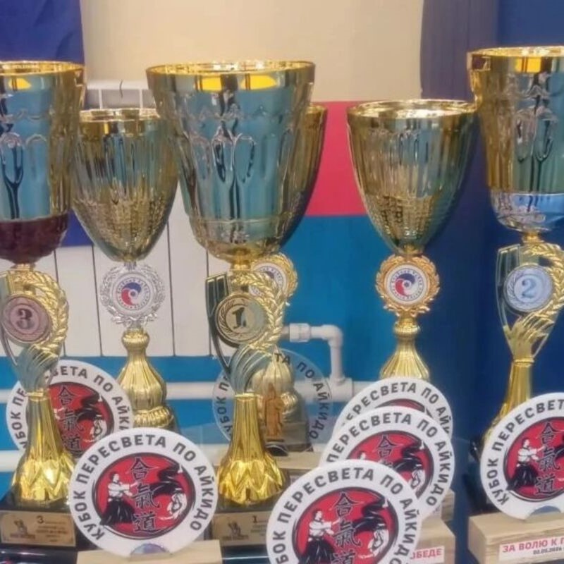 В Брянске разыграли традиционный Кубок Пересвета по айкидо